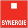 Synergie-Výstřižek